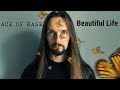 Ace Of Base - Beautiful Life (metal cover by Even Blurry Videos)