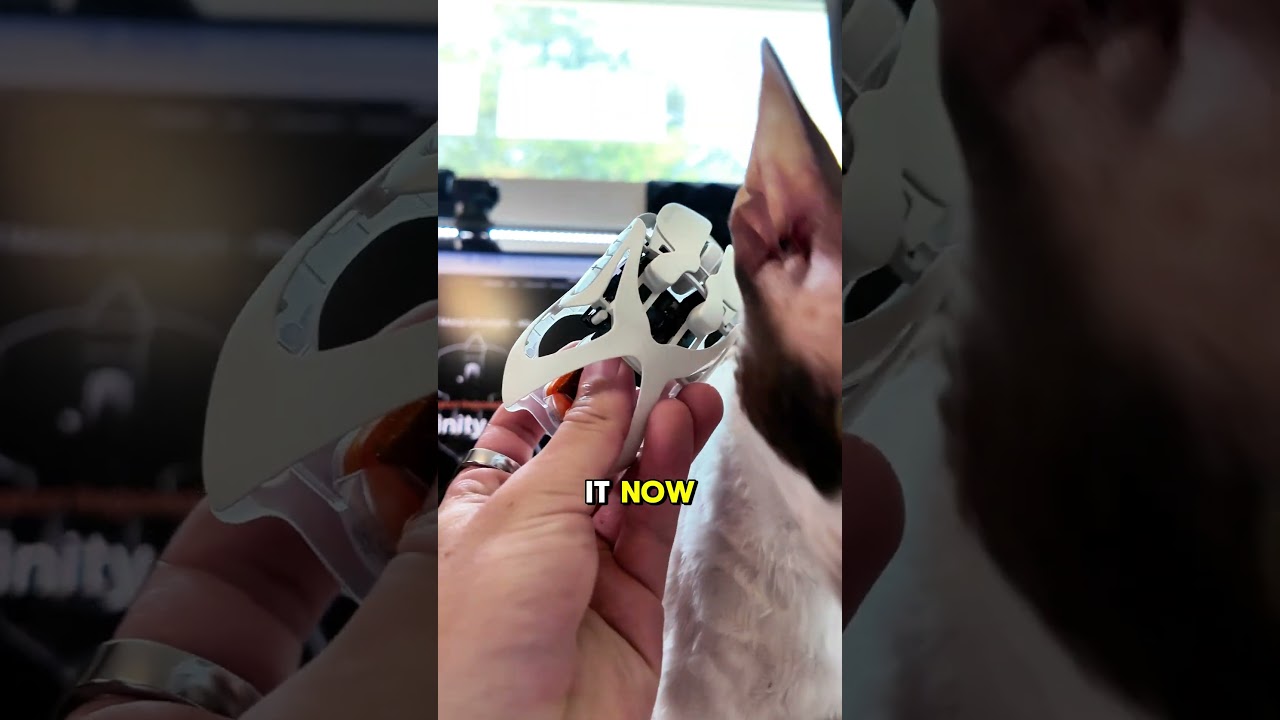 This mouse has a Briefcase!?? 