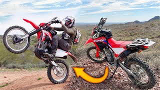 CRF250F VS CRF300L  Why I Chose Less