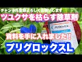 大豆栽培の敵ツユクサをしっかり枯らす除草剤がわかりました！【2022年7月28日】