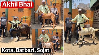 Akhil bhai Jariwala goat farm ke Multiple breed ke bakre bakriya