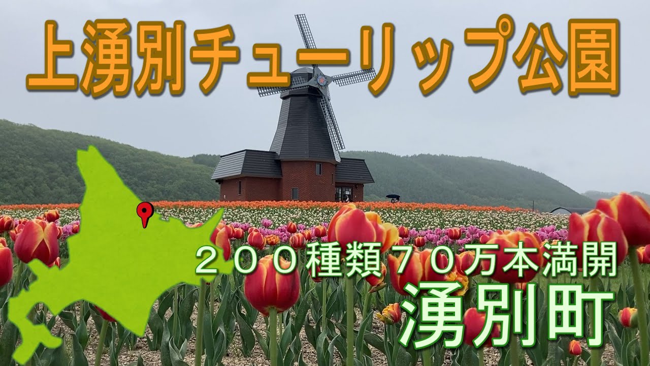 北海道旅行 ２００種類の７０万本のチューリップが満開 上湧別チューリップ公園のチューリップは満開です 東藻琴芝桜公園 滝の上芝桜公園等お花観光は熱い Superb View Of Japan Youtube