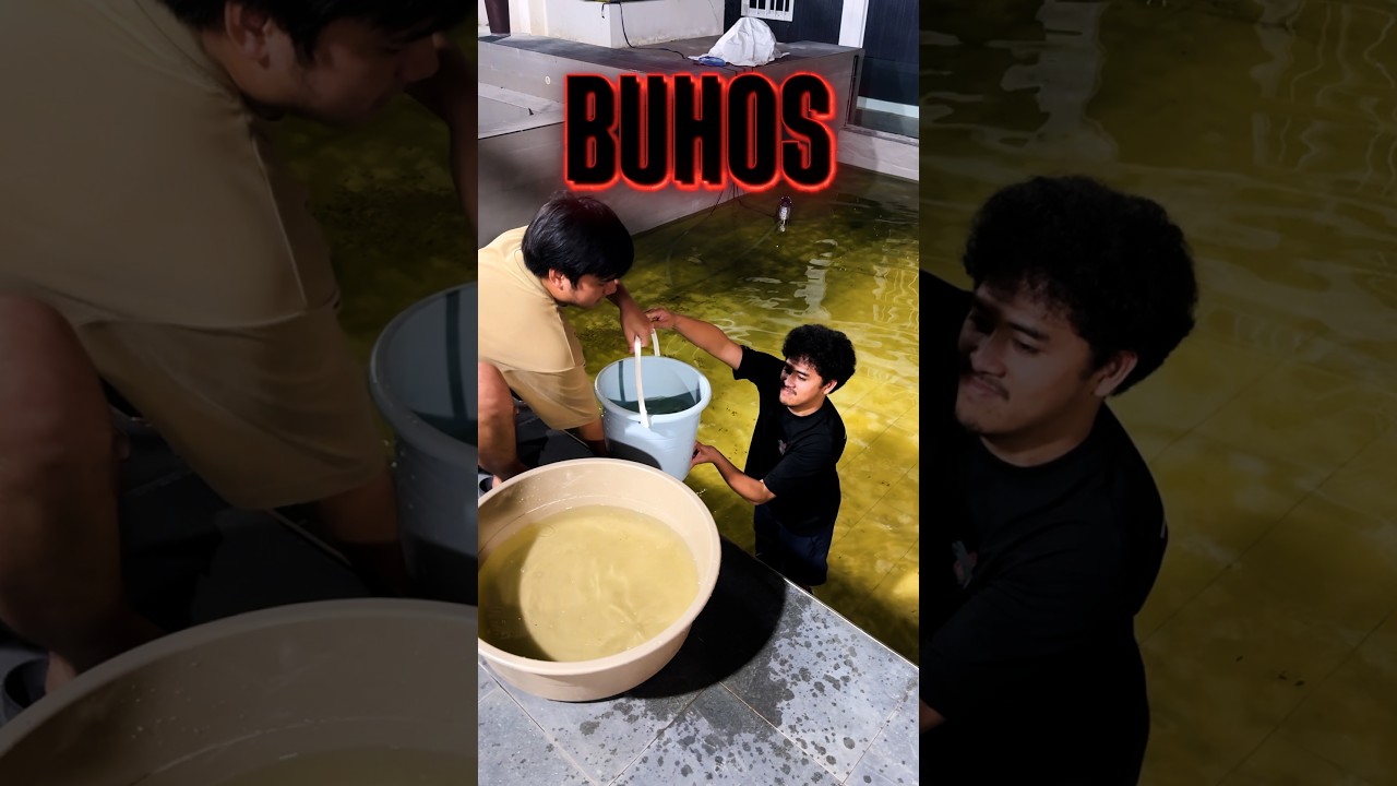 BUHOS