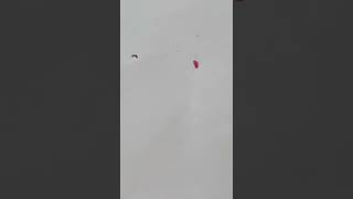 14 De Febrero De 2022