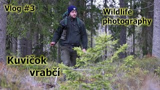 Ako som fotil našu najmenšiu sovu v Slovenskom raji / Wildlife photography in Slovakia