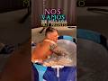 Metí la cabeza en el hielo y mi mente hizo un reset brutal #icebath #mindshift