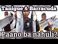 Tanigue and Barracuda (subid) trolling lures baits- Capizhers#54