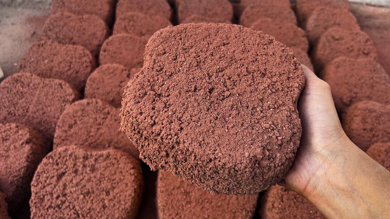 New || Grainy Reddirt Apples dry floor / water crumwith dipping asmr / satisfying and relaxing asmr