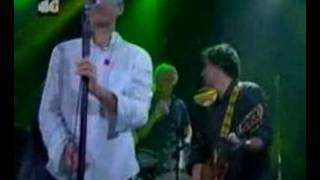 R.E.M. Live Country Feedback chords
