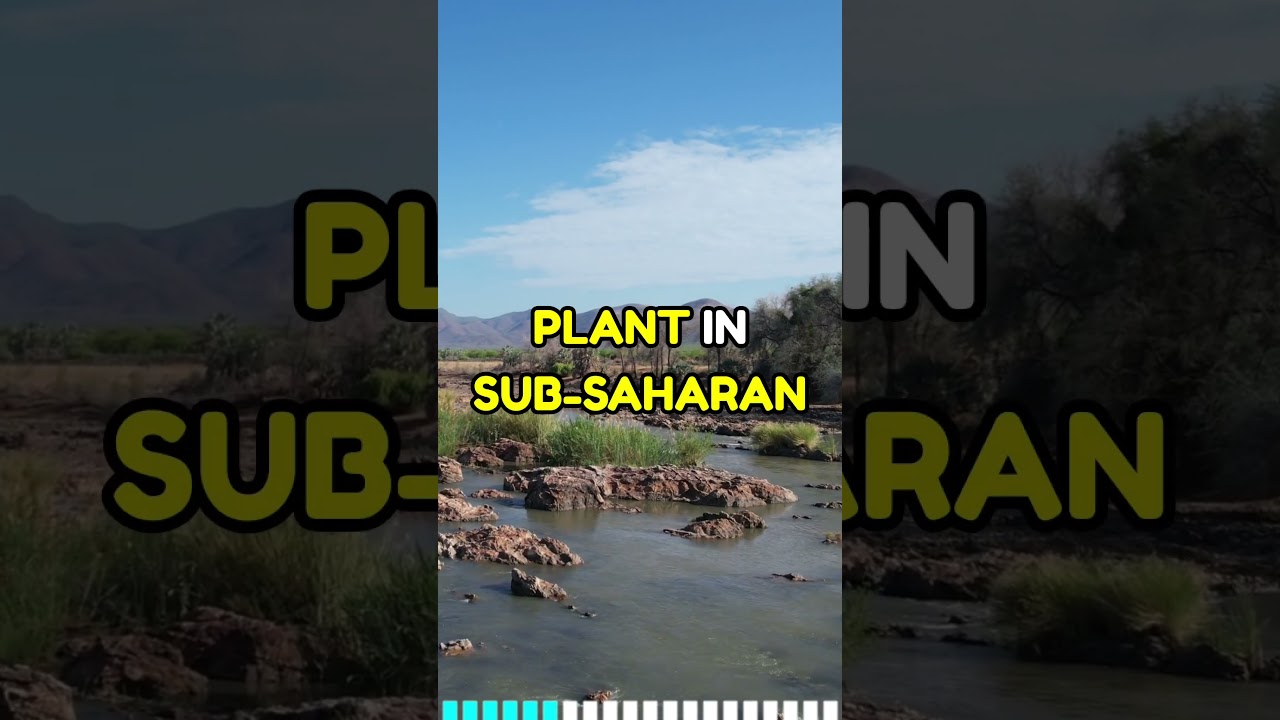 Namibia's $10 BILLION Green Hydrogen Megaproject