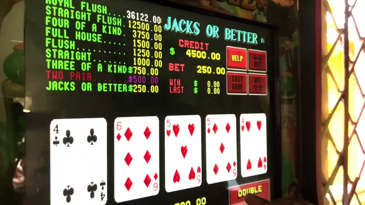 Palmerdon - Basic Chop (Official Video)