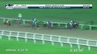 Vidéo de la course PMU PRIX PREMIO GRAND PLAYER (2° TURNO)