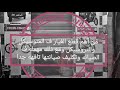 فانوس خلفي بايظ فانوس خلفي بايظ