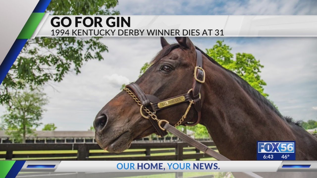 Go for Gin dies at 31