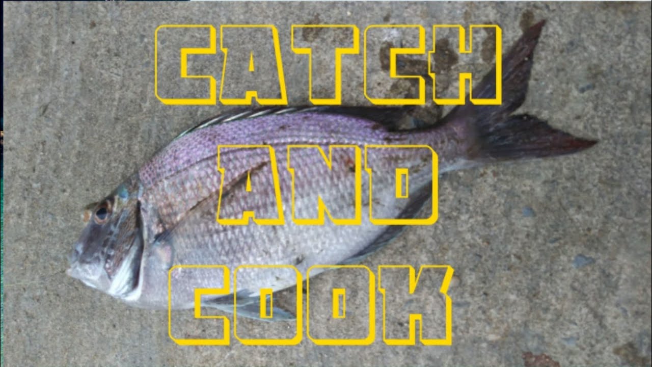 PORGY CATCH CLEAN AND COOK | OVEN BAKED FISH RECIPE | ITS DWIGHT ...