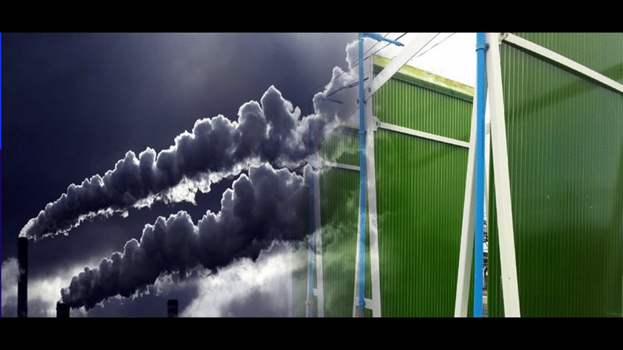 Carbon BioCapture's Birthplace: "Clean Energy ESB" in Chile