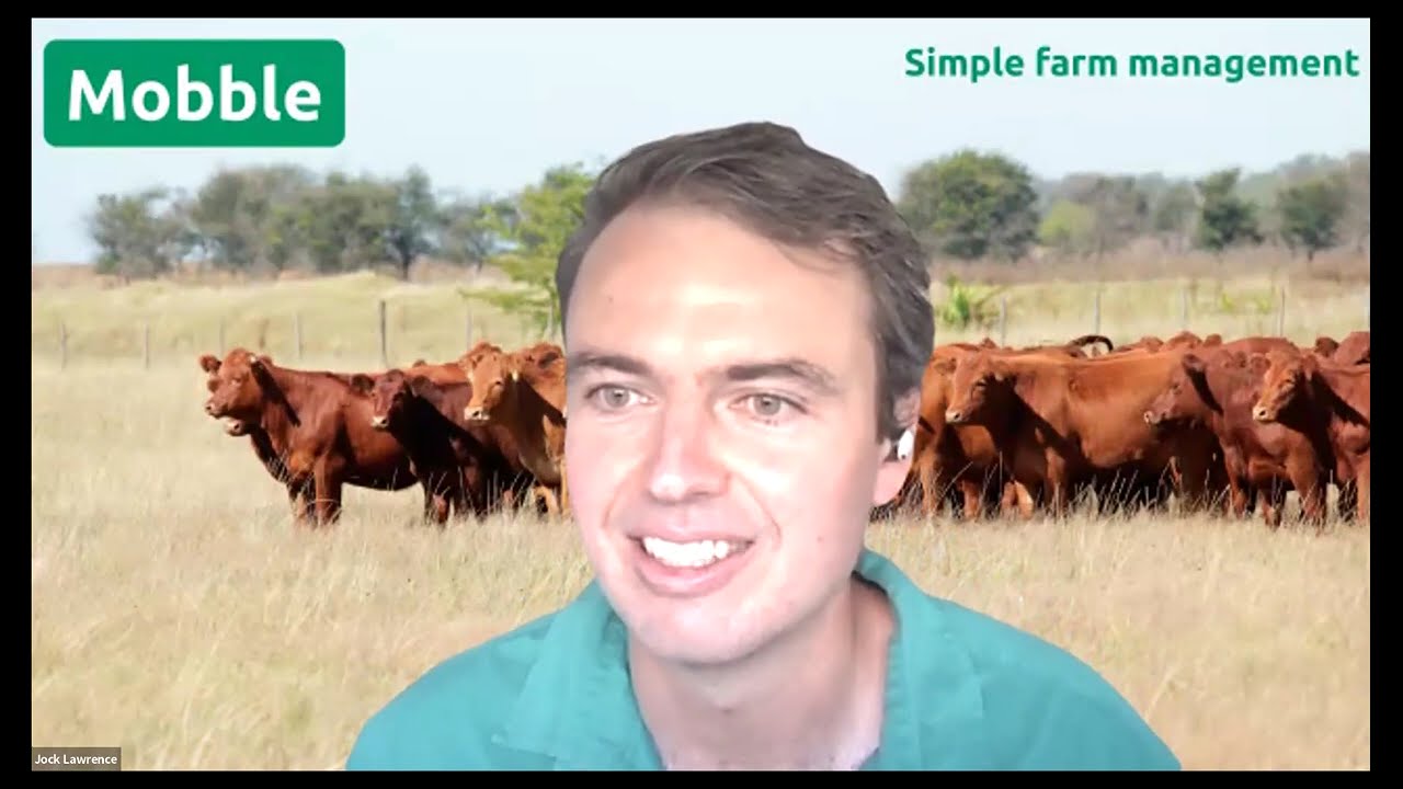 Mobble Webinar & Demo - February 2026