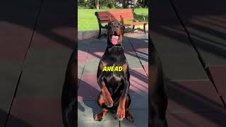 Dogs That Bite First—No Warning  #KillerInstinct #DogPower #Shorts