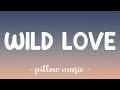 Wild Love James Bay Lyrics mp3