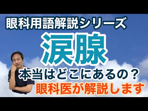 「涙腺」のお話【東戸塚　片桐眼科クリニック】