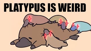 Platypus being weird for 2 minutes straight 