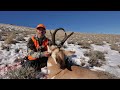 SNOWY PRONGHORN - Rifle Antelope Hunt with SOLO HNTR