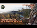 Rugged mountain moose hunt adventure in newfoundland  canada in the rough