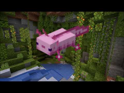 Minecraft 1 17 All Axolotl Sounds 