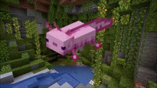 Minecraft 1.17 - All Axolotl Sounds