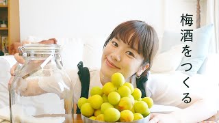 お家で、梅酒づくり。