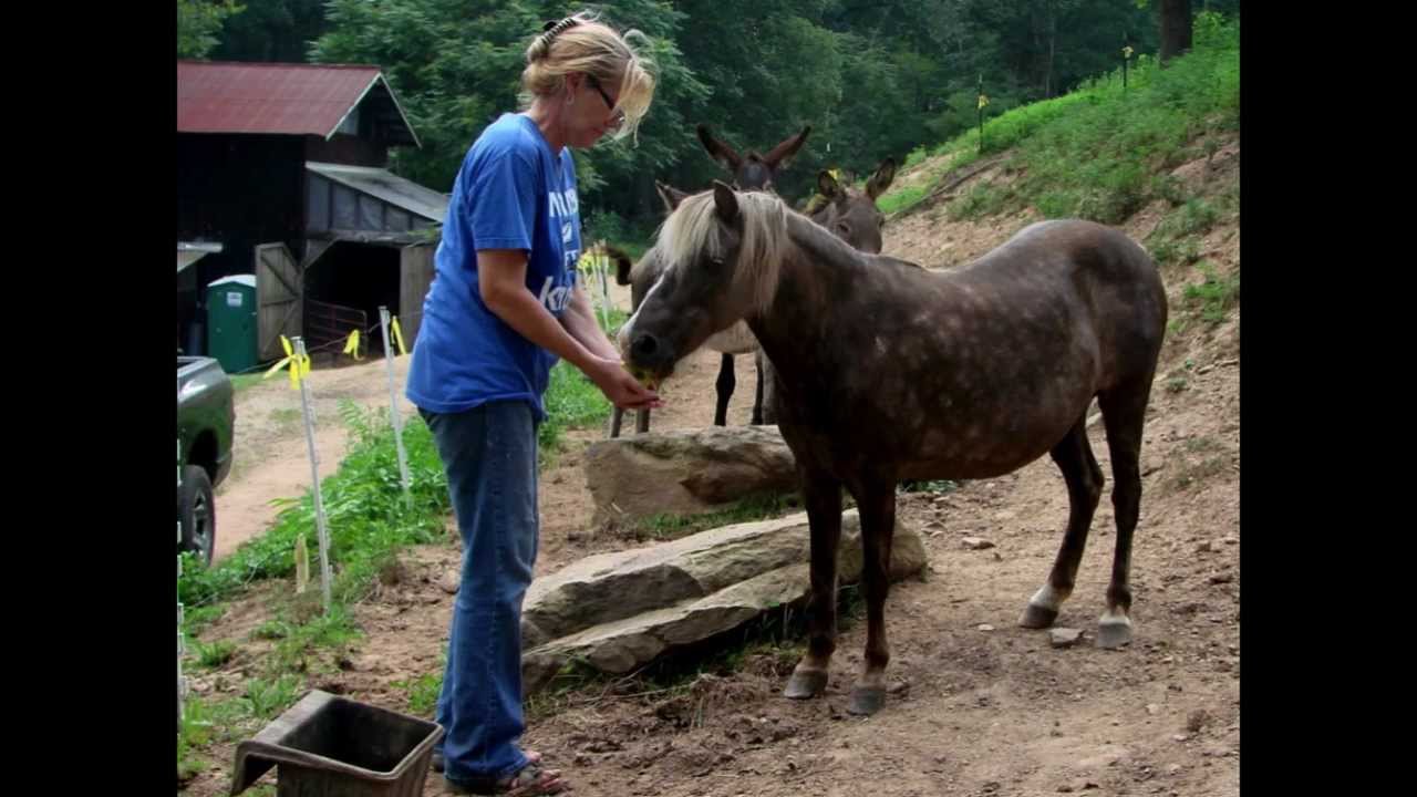 Beulah Land Jubilee 2011 (West Virginia) YouTube
