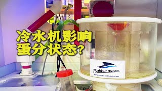 安装冷水机后蛋分不堆泡很可能是这个原因