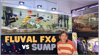 FX6 Canister Filter versus Sump Filtration  Which is Better?