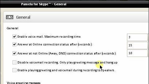 Pamela For Skype - Overview & Review