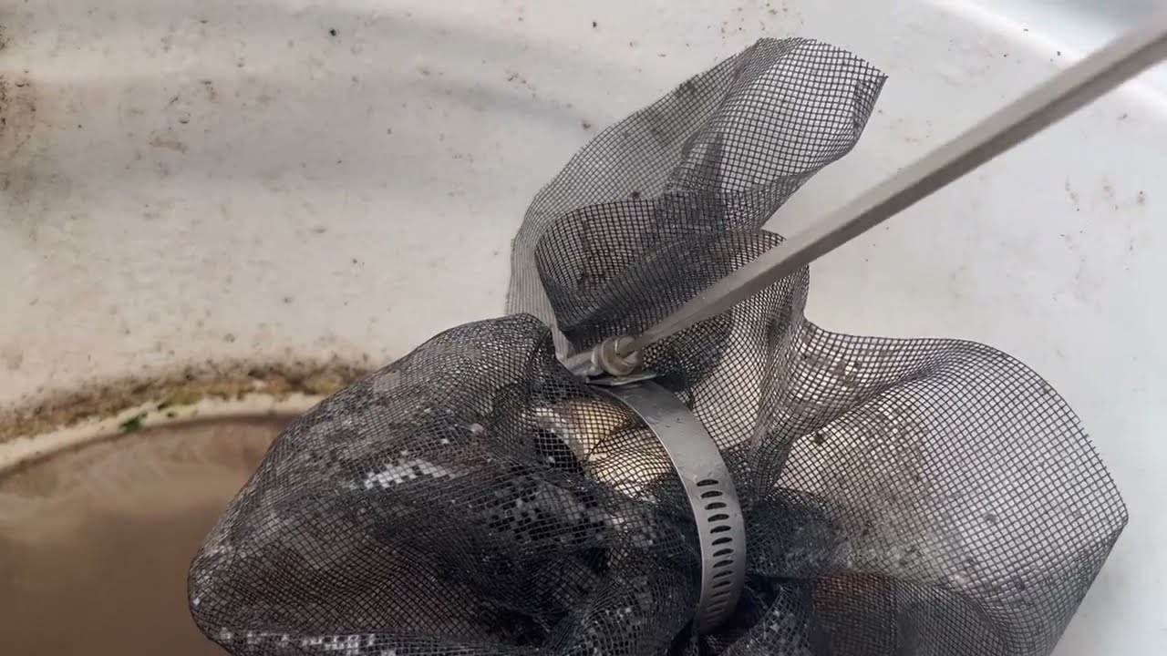 How to Maintain a Greywater Filtration System