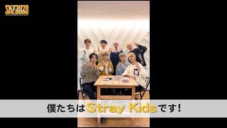 Stray Kids “『SKZ2020』を開けてみた”(YouTube ver.)