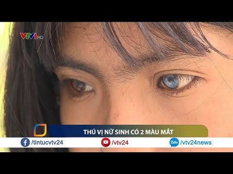 Mèo Có 2 Màu Mắt Khác Nhau - Nữ sinh đặc biệt với hai màu mắt | VTV24