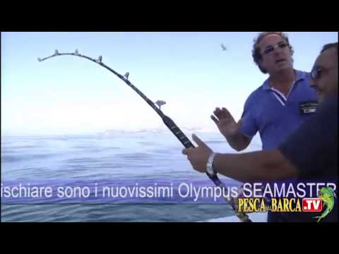 Pescasportiva al TONNO nel Golfo di Napoli