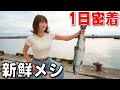 【漁協密着】獲れたての魚を捌いて食べる日本一豪華な晩餐がヤバすぎた... | 北海道羅臼漁協