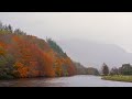 AUTUMN IN SCOTLAND | visiting the oldest tree in the UK, climbing a mountain &amp; watching seals