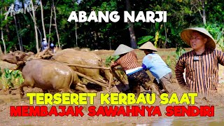 ABANG NARJI TERSERET KERBAU SAAT MEMBAJAK SAWAH SENDIRI || KOK BISA BEGITU YA?? - JURAGAN LAHAN