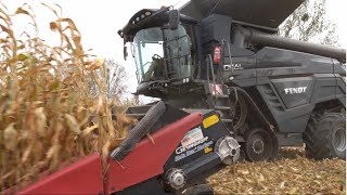 Fendt Ideal 8t🌽Kirovets  K742🌾 Corn Harvest and Wheat Planting in Poland🌾 Żniwa i Siew u Ojdany 🌽🌾🚜