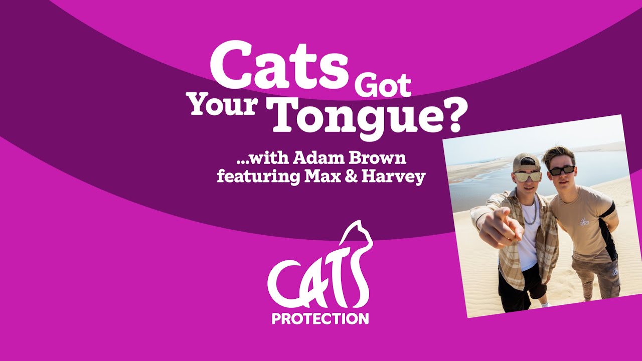 Cats Got Your Tongue? podcast with Max and Harvey 🐱🎙️ How do you talk to your cat?