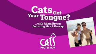 Cats Got Your Tongue podcast with Max and Harvey 🐱🎙️ How do you talk to your cat