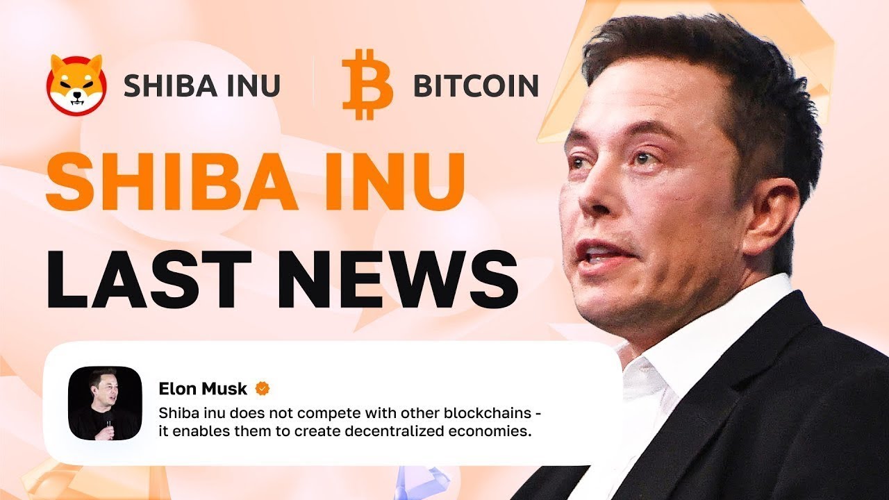 Shiba Inu: Elon Musk & SHIB Holders predict $0.001 per SHIB |  Cryptocurrency NEWS