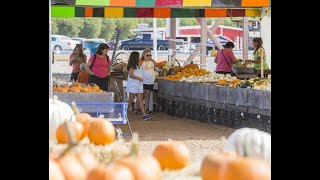 Dutch Hollow Farms opens for season
