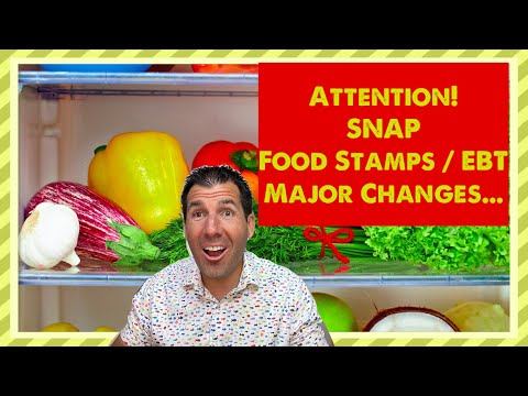 Warning! Snap Food Stamps Ebt - Surprising For The Low Income