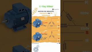 MOTOR DE INDUÇÃO TRIFÁSICO DE 6 TERMINAIS