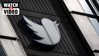 Twitter layoffs to start on Friday