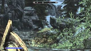 Skyrim Mod Review - Customizable Camera